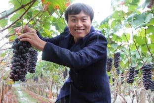 农民鸿涛资料,从田间地头到乡村振兴的追梦人