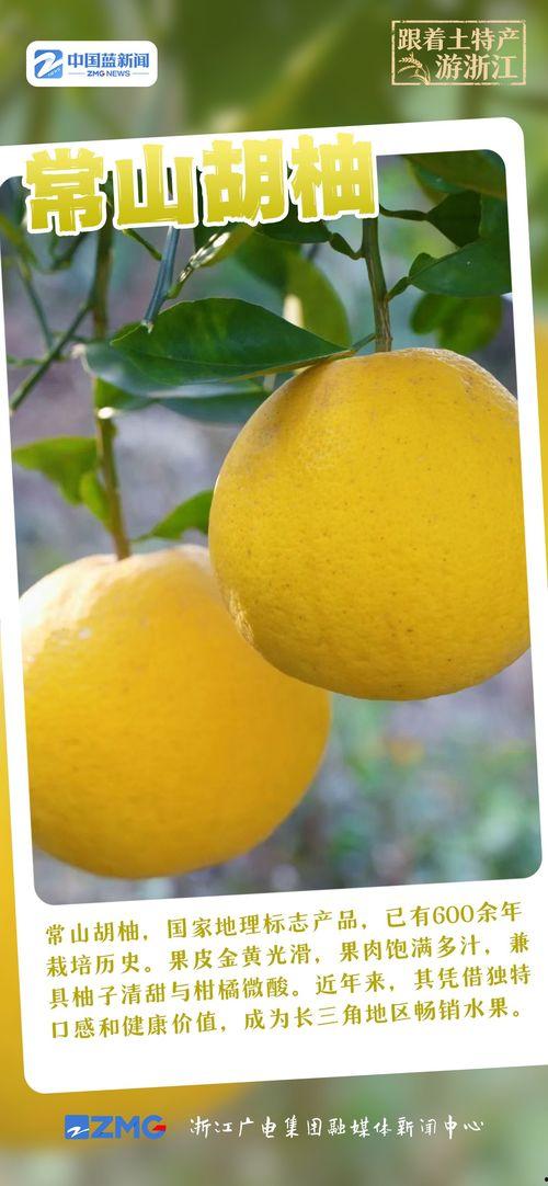 常山胡柚图片,果香四溢的绿色瑰宝