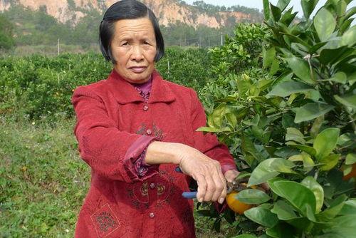 农村72岁大妈生活照,72岁农村大妈的温馨生活剪影